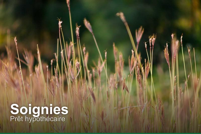 Prêt hypothécaire à Soignies, Belgique - Trouvez un professionnel