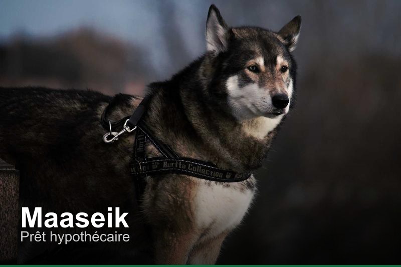 Prêt hypothécaire à Maaseik, Belgique - Trouvez un professionnel