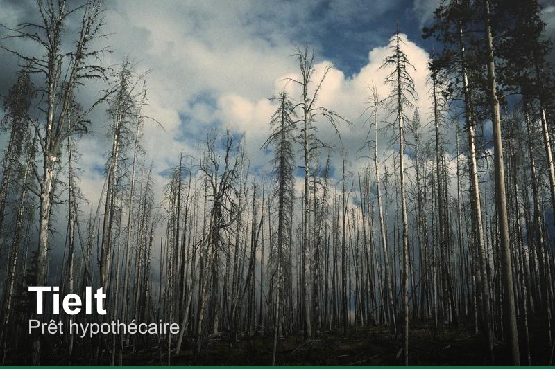 Prêt hypothécaire à Tielt, Belgique - Trouvez un professionnel