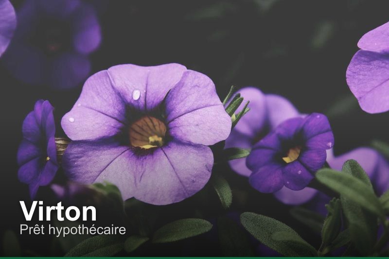 Prêt hypothécaire à Virton, Belgique - Trouvez un professionnel